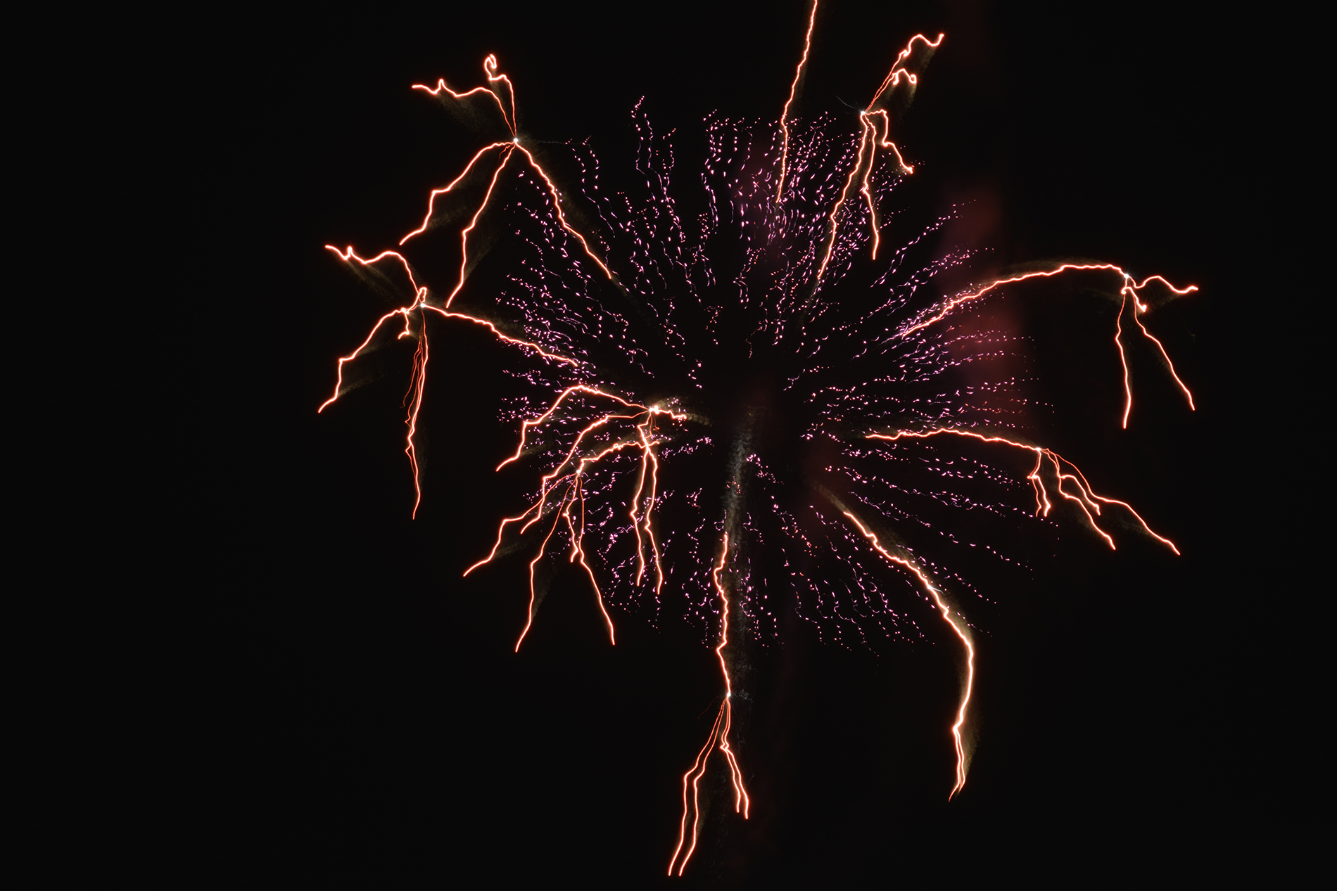 Les fleurs de feu du hanabi