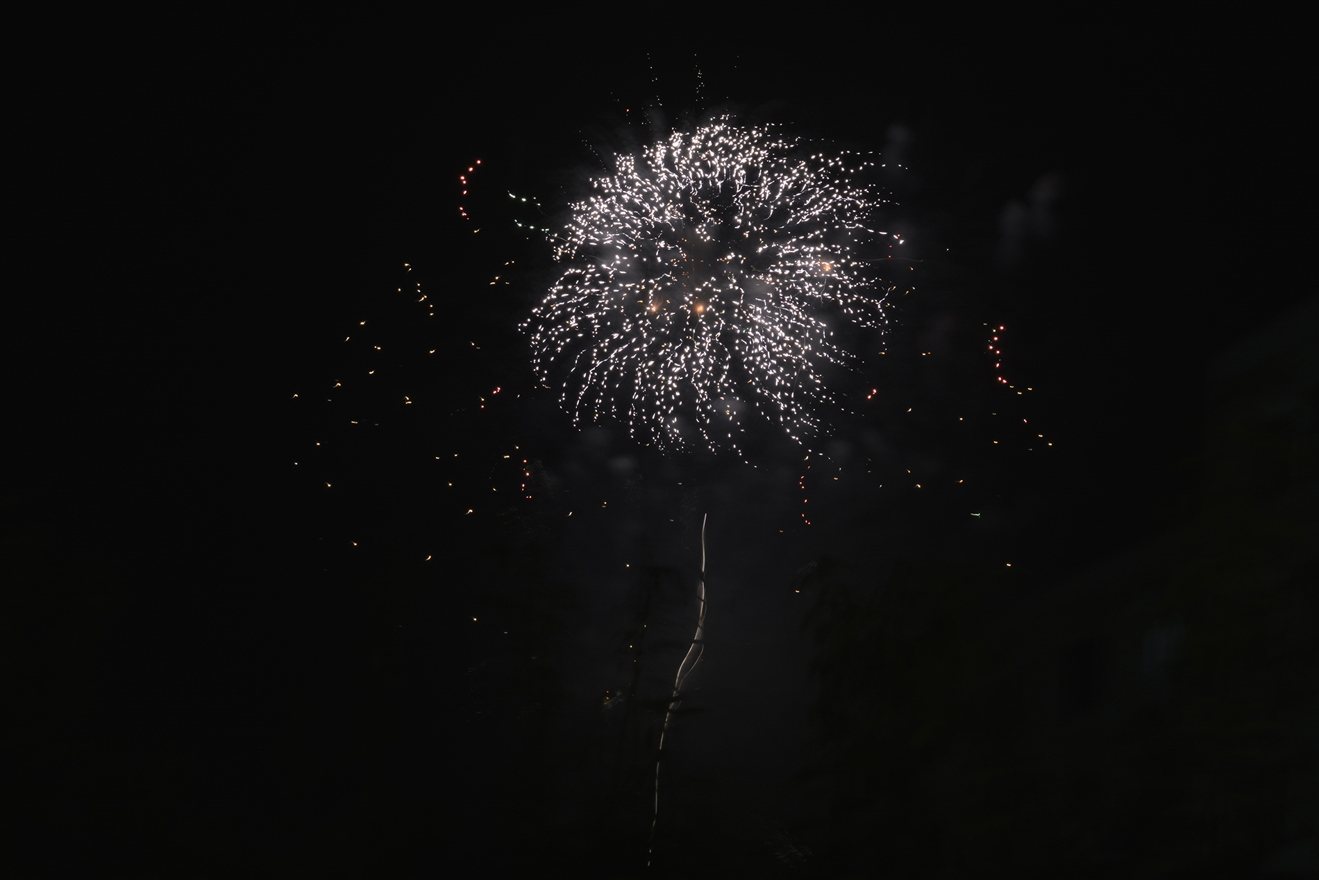 Les fleurs de feu du hanabi