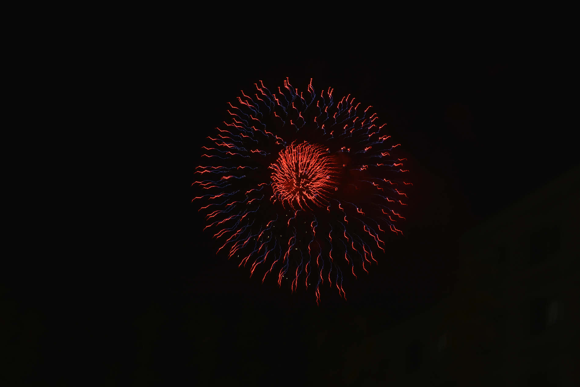 Les fleurs de feu du hanabi