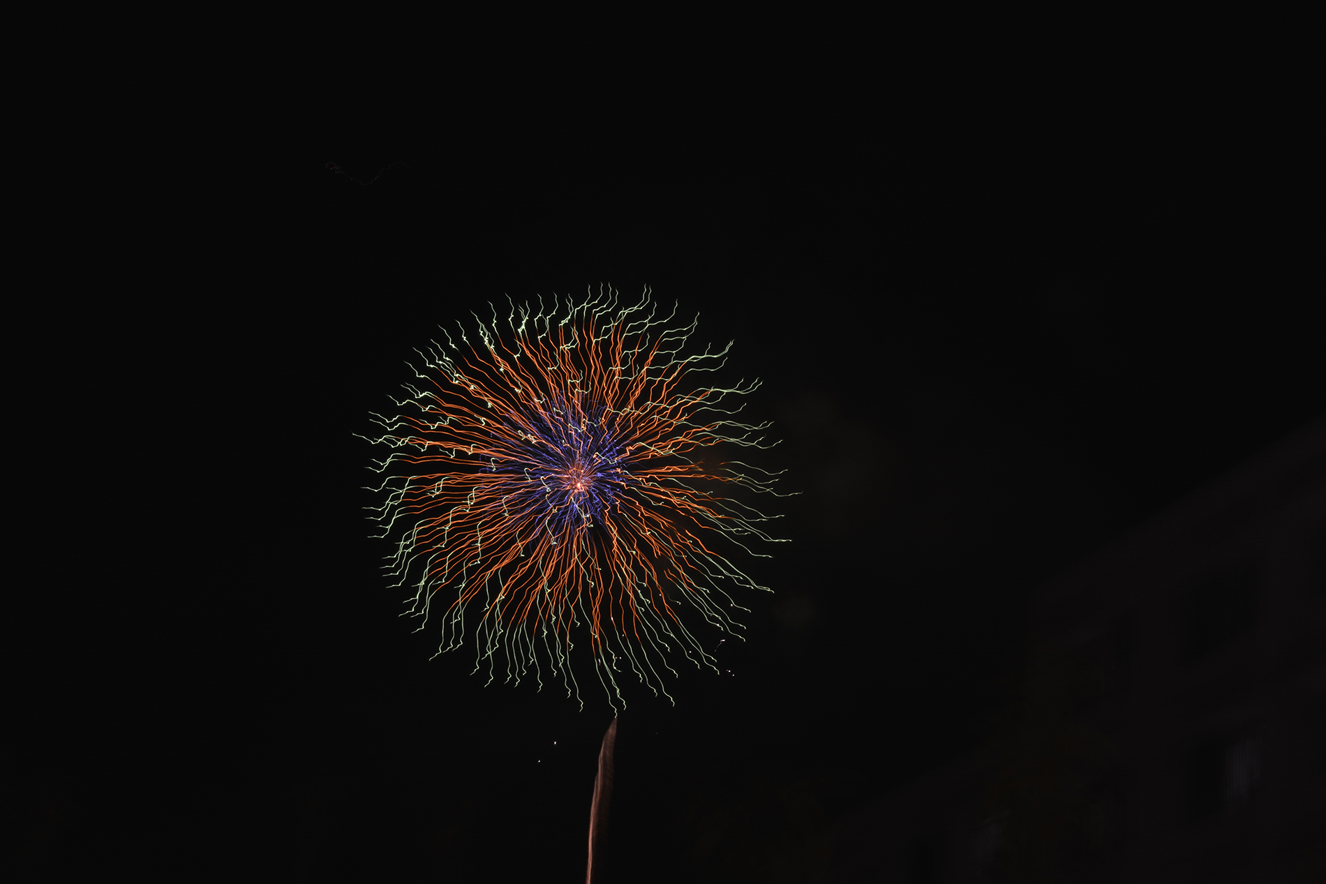 Les fleurs de feu du hanabi