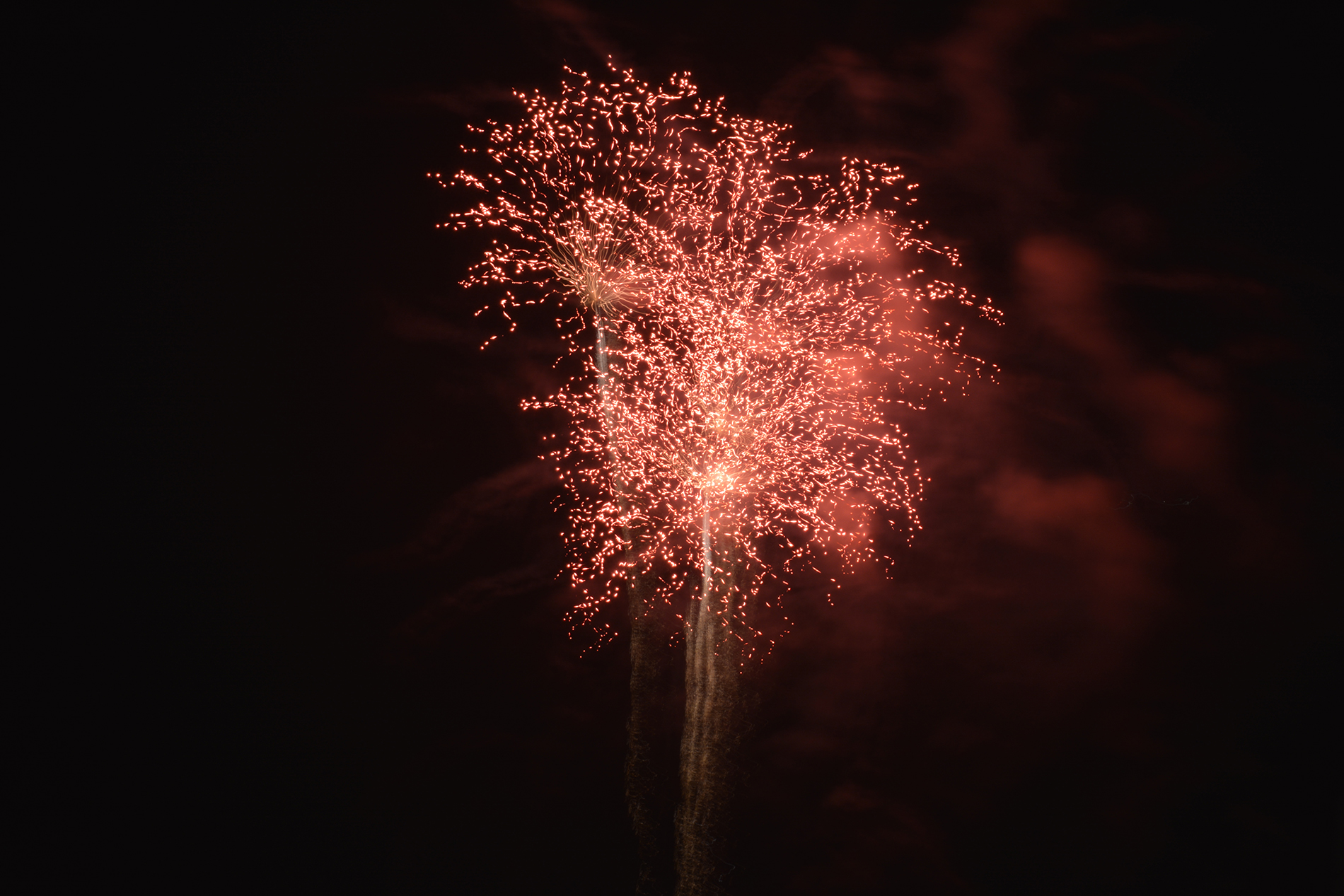 Les fleurs de feu du hanabi