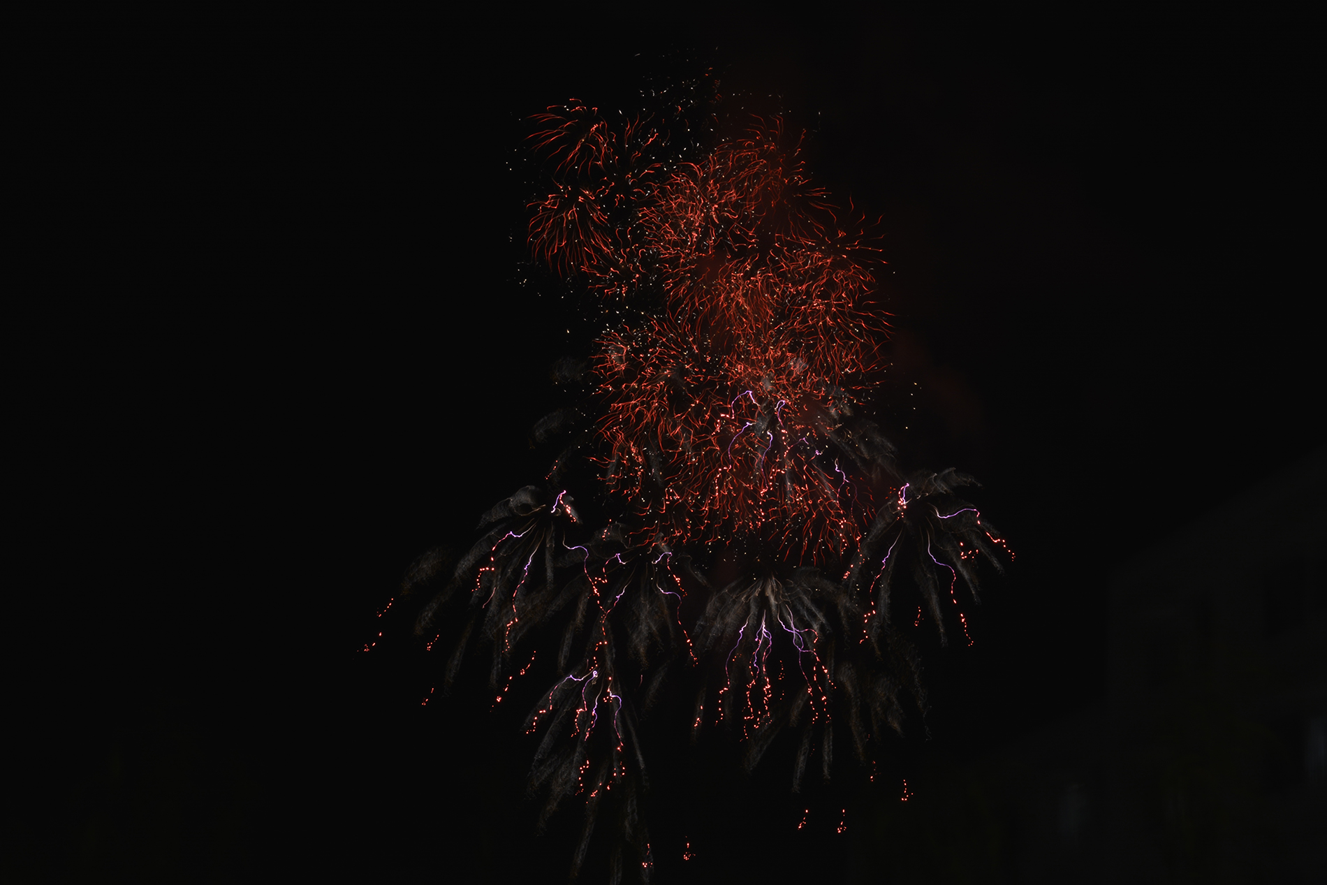 Les fleurs de feu du hanabi