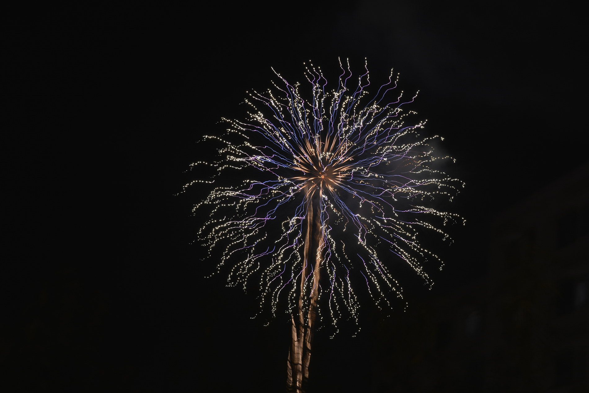 Les fleurs de feu du hanabi