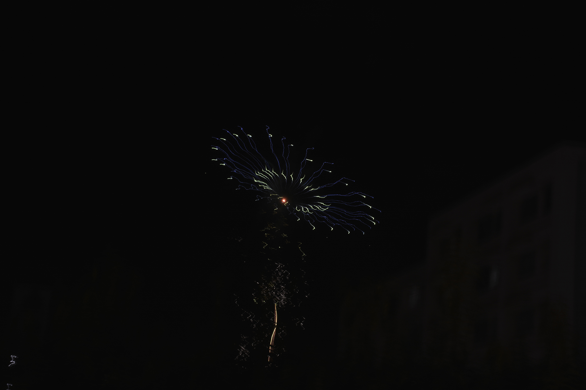 Les fleurs de feu du hanabi