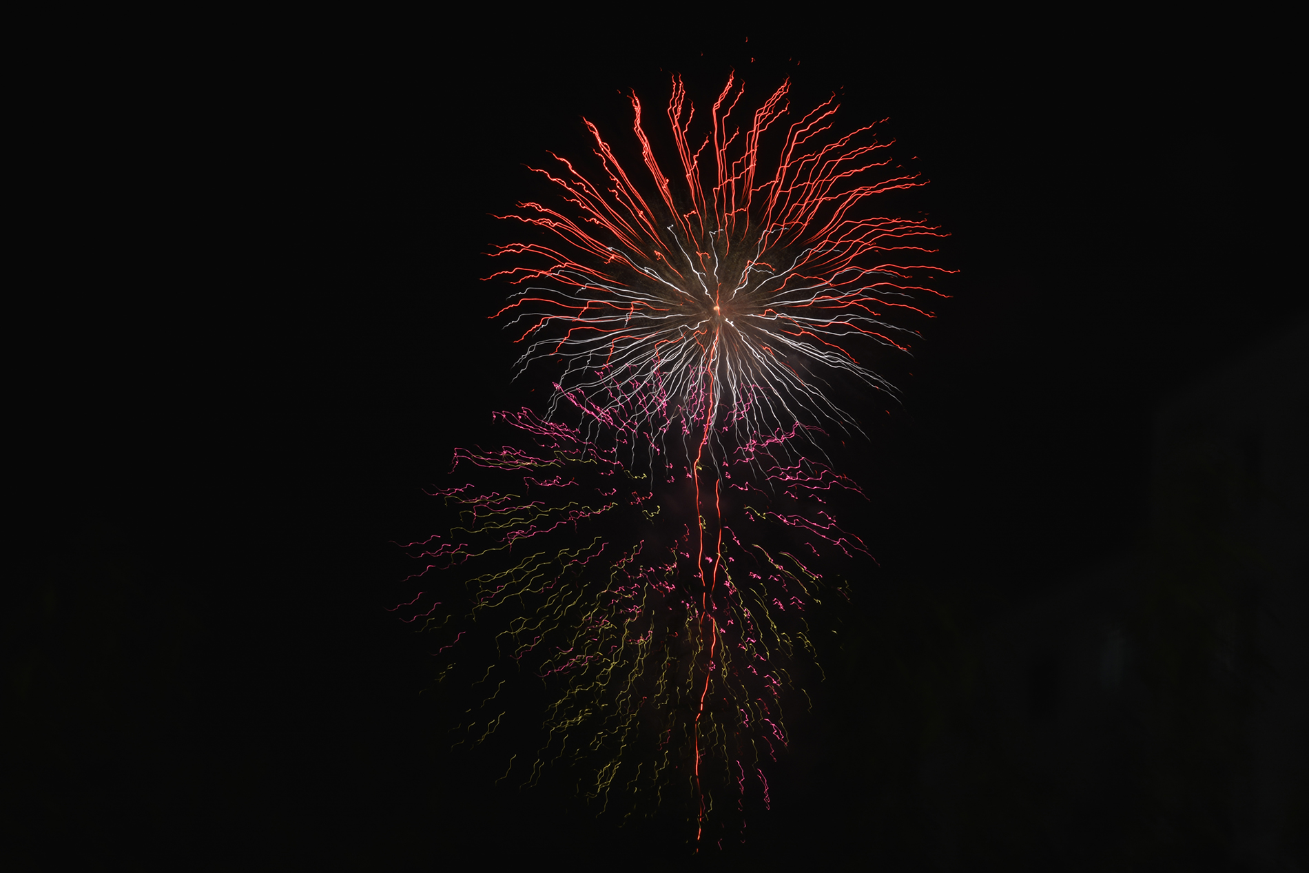 Les fleurs de feu du hanabi